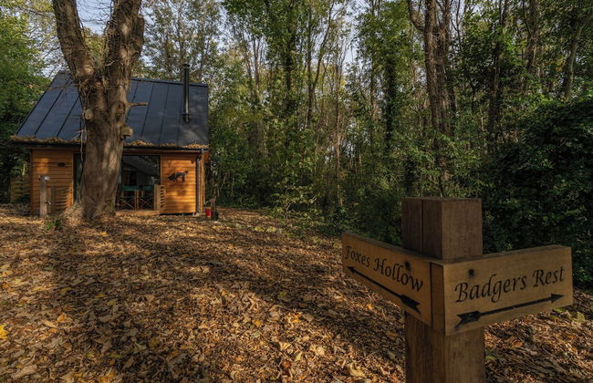 Woodland Cabin Retreat in Alfriston - hot tub - Foto 9