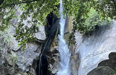 Bodeguita del Tiétar - Foto 31