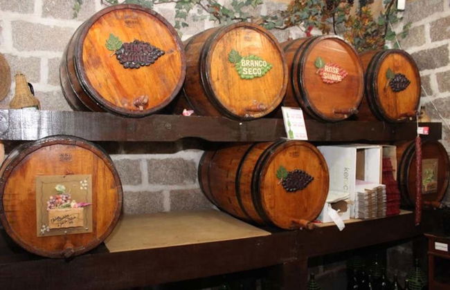 Excursão pelo Caminho do Vinho de São José dos Pinhais - Foto 3