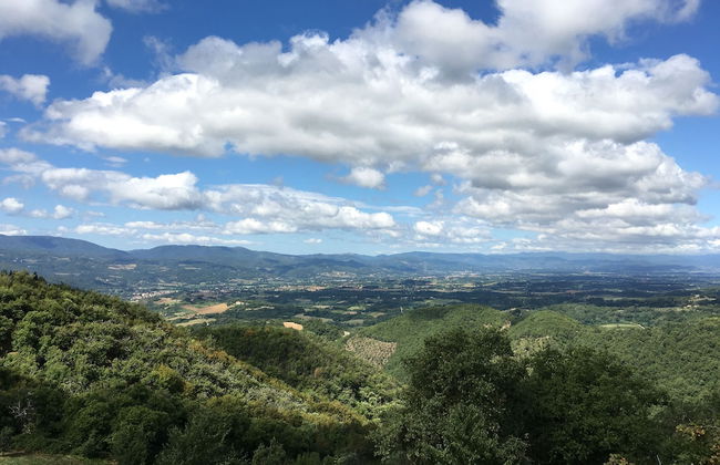 la Casetta Nel Bosco Feel the Nature - Foto 23