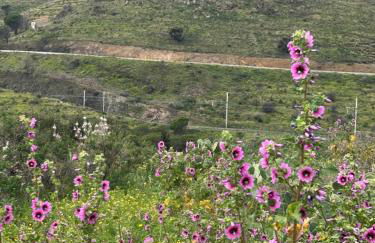 T2 appartment with sea view and swimmimg pool. - Foto 23