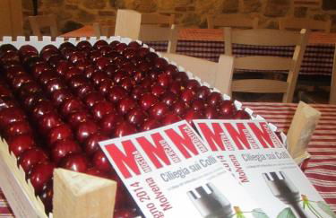 L'Oro Rosso - Foto 7