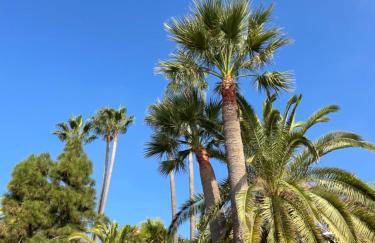 Buena Vista Apartment, 3 bedrooms - Foto 61