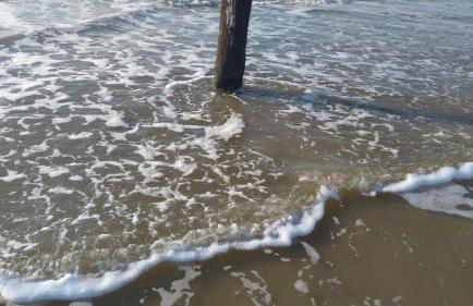 Ferienhof Röhe - Foto 32