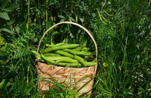 Casale Dionisia, Santa Maria di Castellabate - Foto 76