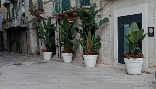 Locus Pendinelli Trani 53-the Philosophy of a B&b, the Details of a Hotel!!! - Foto 5