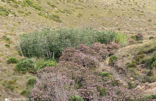 Casa Kenya: Dúplex con azotea y magníficas vistas. - Foto 25