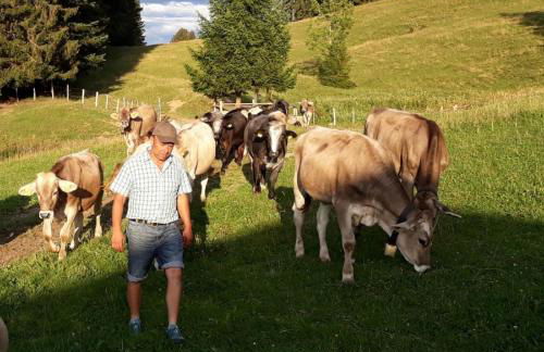 Andreashof - Foto 30