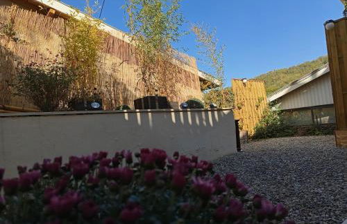 Résidence des 4 saison - Photo 28