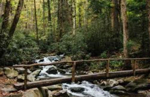 Art's Bungalow-wooded seclusion 1 mi to Deep Creek and Bryson City - Foto 34