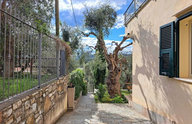 Gelsomino Garden - Foto 21