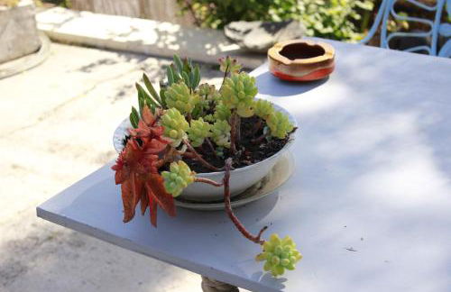 Casa Basilisa Capote - Foto 9