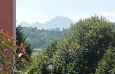 Cangas Natura - Foto 22