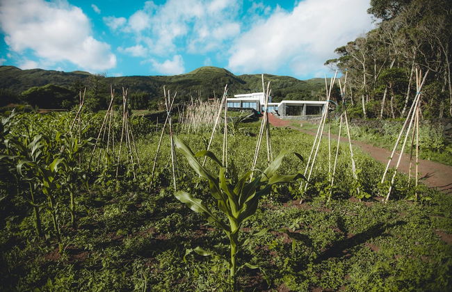 Make It Happen Farm - Foto 26