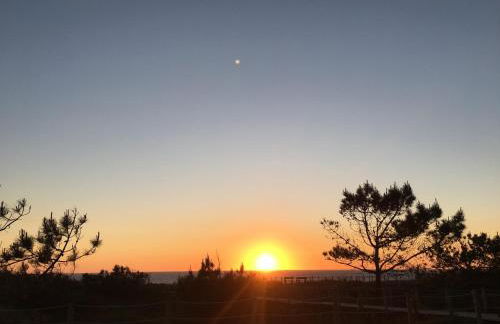 Bela Vista - Foto 24