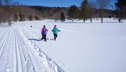 Mill Run 10E - Photo 2