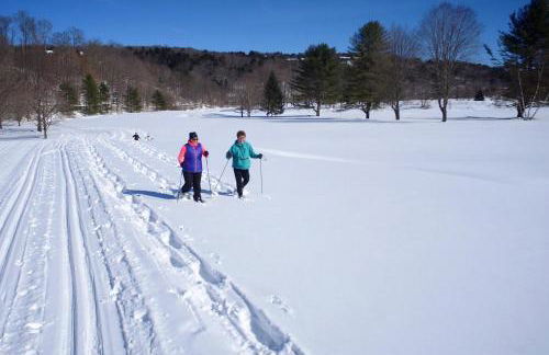 Mill Run 10E - Photo 2