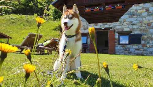 Baita casapendola - Foto 2