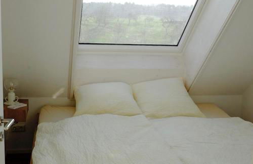 Trautesheim Ferienwohnungen - Foto 80