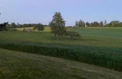 Ferienwohnung zur Falkenlay Bad Bertrich - Photo 14