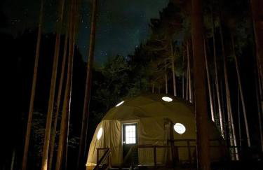 Luxury Private Dome with Spa and Fire Pit in Benzonia, Michigan - Foto 4