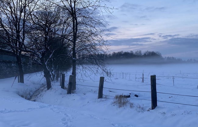 Holiday Home on a Riding Stable - Foto 37