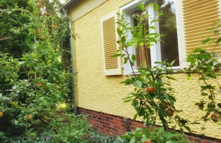 Ferienhaus Sanssouci - Foto 45