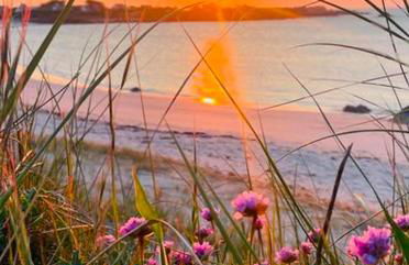 Maison Maillots et Bigorneaux, 15 pers, jacuzzi, 40m de la mer - Foto 56