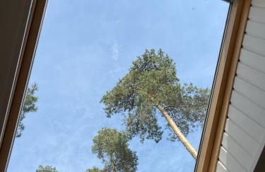 Küstenferienhaus - Foto 44