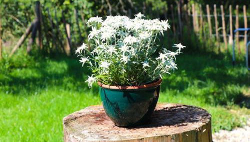 Ferienwohnungen Berger - Foto 3, Other