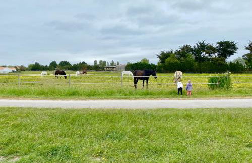 La Fleur des Marais - Maison tout confort au calme, grand jardin & balançoire - Foto 30