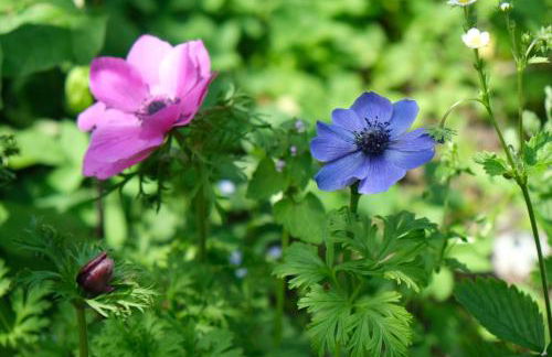 Haus Sonnengruß - Foto 26