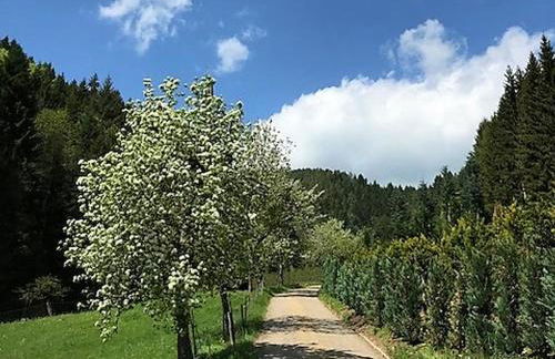 Waldbauernhof - Foto 7