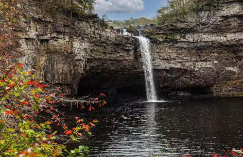 Blueberry Farm Cottage, Hot Tub, Creek, Game Room - Foto 21