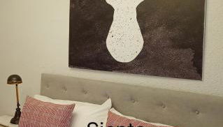 Origen Pelaire excelente limpieza y ubicacion - Photo 3