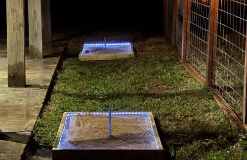 The Coastal Crab - Foto 18