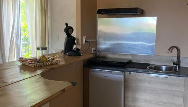 Location appartement 1 chambre plus dépendance en supplément voir descriptif dans un mas provençal au coeur du luberon - Foto 5