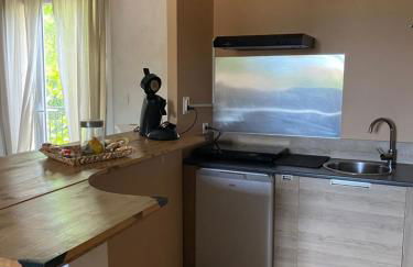 Location appartement 1 chambre plus dépendance en supplément voir descriptif dans un mas provençal au coeur du luberon - Photo 5