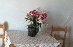 Anna Daniil Oasis Studios Skala Kallonis - Foto 33