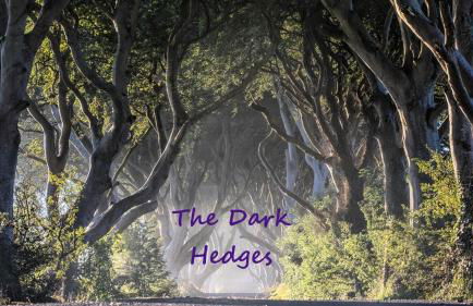 Plantation Drive - Home from home - Foto 29