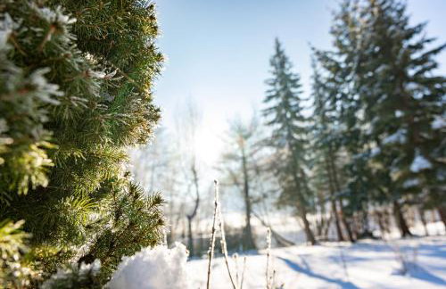 Dom nad Potokiem z sauną - Foto 39