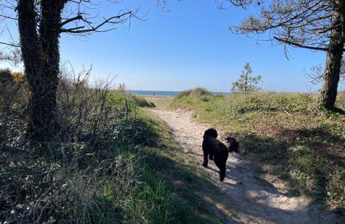 Golden Dunes Retreat, Dog-Friendly Stay at Par Sands Holiday Park, Cornwall - Photo 33