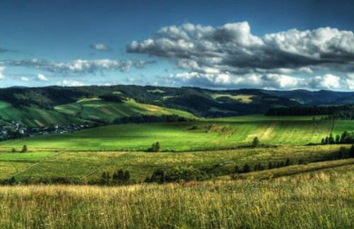 Dom Janosik - Foto 25