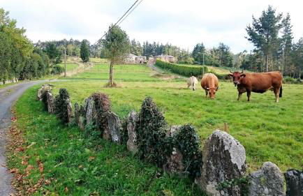 Casa Berdeal - Foto 46