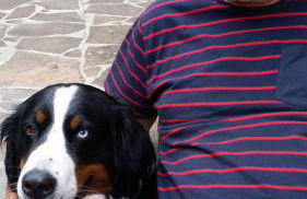 Ferien und Selbstversorgerhaus für Gruppen Sauerthaler Hof - Loreley - Photo 20