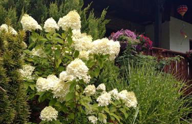 Ferienwohnung Schmallenberg - Foto 45