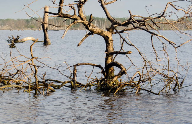 Ciénaga Grande de Santa Marta Day Trip - Photo 1