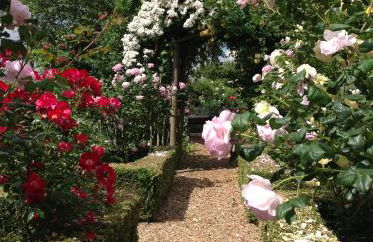 Hollyhock Cottage, Clematis cottages, Stamford - Foto 36