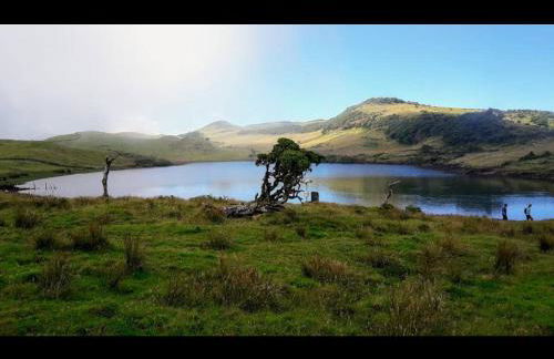 Adega do capitao - Photo 5