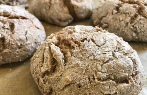 BioNestlein Wellness Apartments mit Biosauna und Wintergarten - Foto 26